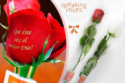 ¡Rosas para Regalar! Paga RD$140 en vez de RD$375 por Rosa Importada en Celofán con una frase Impresa en Floristerí­a Speaking Roses.